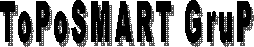 ToPoSMART GruP